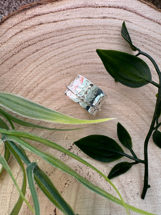 Spinner/Fidget Ring Workshop