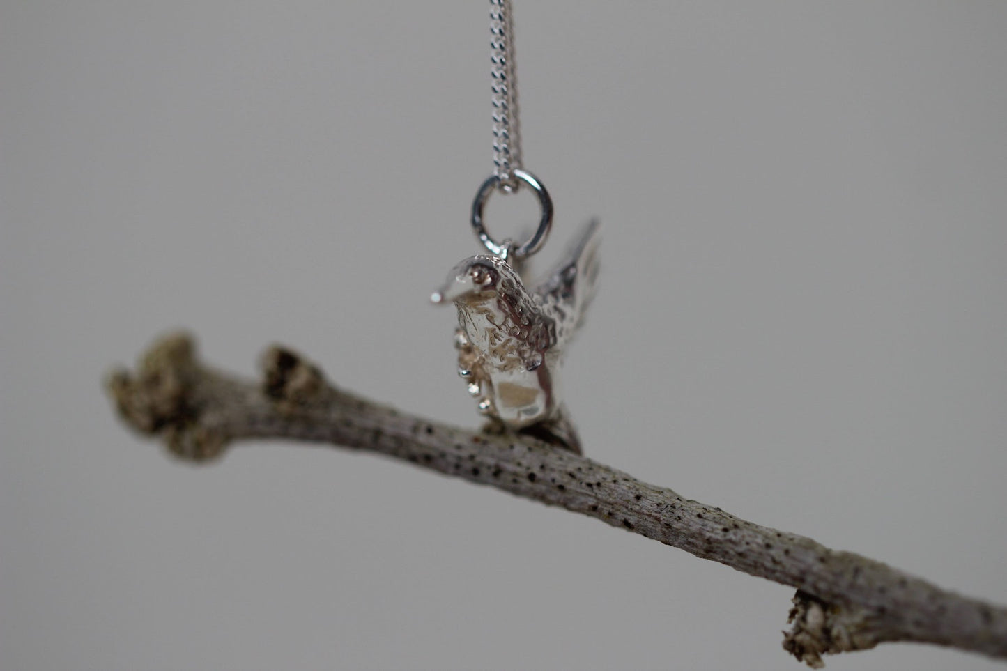 HummingBird With Dragonfly Necklace